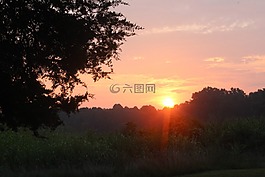 日出,上午,自然