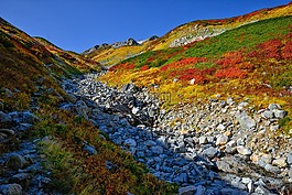 秋季樹(shù)葉,阿爾卑斯山區(qū),形式的光澤