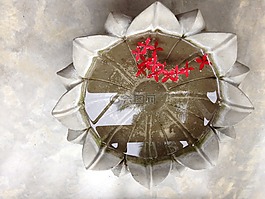 鮮花,蓮花,瑜伽