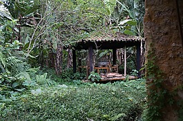 文化,歷史,栗