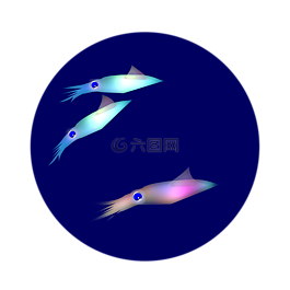魷魚,發(fā)光,寶貝