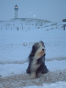 冬天,雪,燈塔