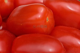 蕃茄,蔬菜,宏