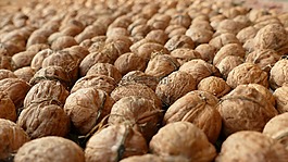 堅(jiān)果,核桃,食品