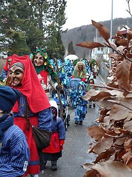 傻瓜会馆乌尔姆,嘉年华,fasnet