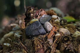 石頭,性質(zhì),豐富多彩