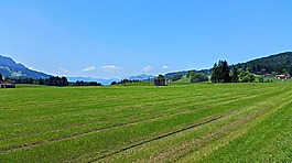 阿爾高,山,景觀