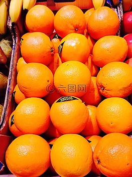 橙,水果,健康
