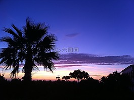 晚上,天空,月球