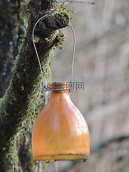 黃蜂陷阱,玻璃瓶,玻璃