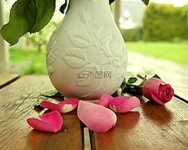 玫瑰,花瓶,表