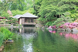 凯泽斯劳滕,日语,日本花园