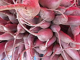 蘿卜,蔬菜,根