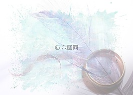 環(huán),羽毛,紋理