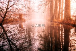 性質(zhì),木,黎明