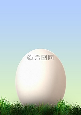 鸡蛋,复活节,草