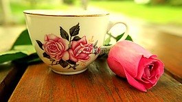 茶杯,玫瑰,開花