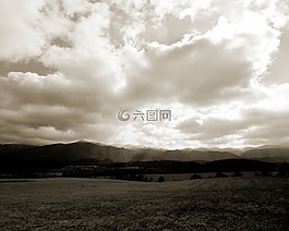樹,草,山