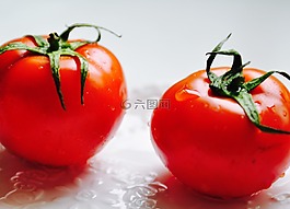 番茄,西紅柿,蔬菜