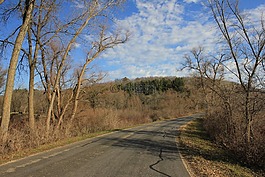 路,公園,景觀
