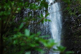 瀑布,綠色植物,山