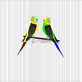 鸚鵡,波浪,鳥(niǎo)