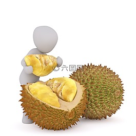 杰克水果,臭水果,水果