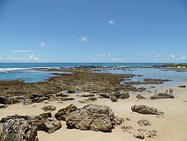 mar,珊瑚礁,藍(lán)色