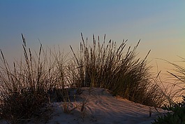 海灘,假期,海岸