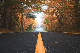 路,路徑,葉子