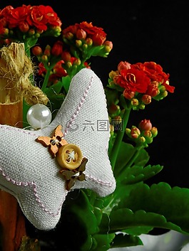 鮮花,開花,性質(zhì)