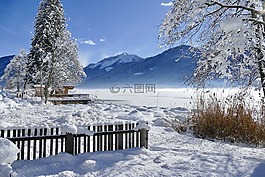 雪,冬天,冷