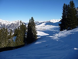 冬天,雪,寒冬