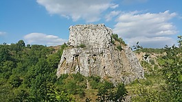 kadzielnia,旅游,树