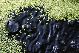 水,幾點(diǎn)思考,母馬