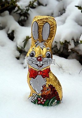 復活節(jié),復活節(jié)兔子,schneehase