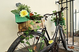 自行車(chē),鮮花,老