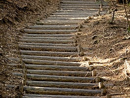 路,木材,自然