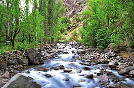 江,河,景觀