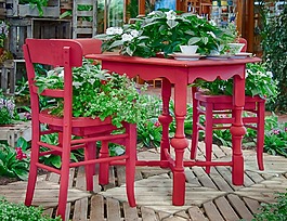 椅子,表,植物