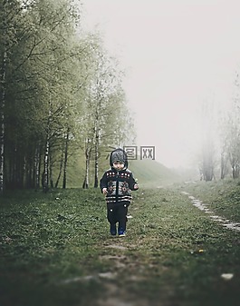 綠色,草,樹