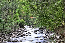 江,河,景觀
