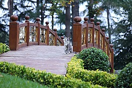 木纖維板,架構(gòu),在戶(hù)外