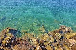 海,海洋,水