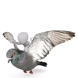 男性,3d模型,孤立