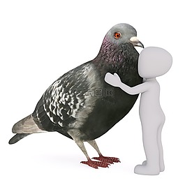 男性,3d模型,孤立
