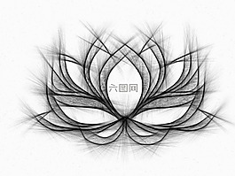 睡蓮,繪圖,鉛筆