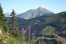 阿沃里亚兹,山,阿尔卑斯山
