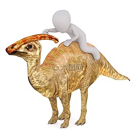 男性,3d模型,孤立