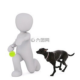 男性,3d模型,孤立